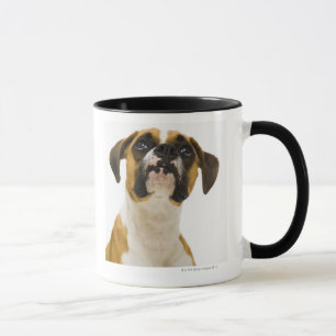Boxer dog looking up mug