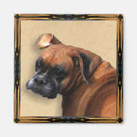 Boxer Dog Magnets