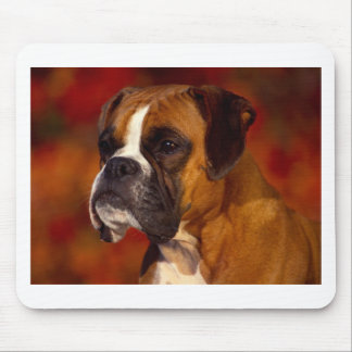 Boxer dog mouse pad