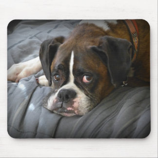 boxer, dog mouse pad