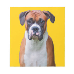 Boxer dog notepad