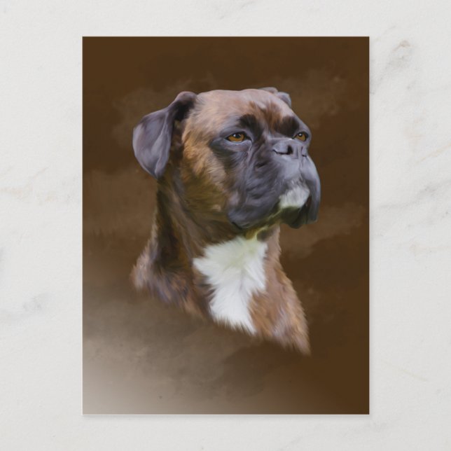 Boxer Dog Oil Painting Art Portrait Postcard (Front)