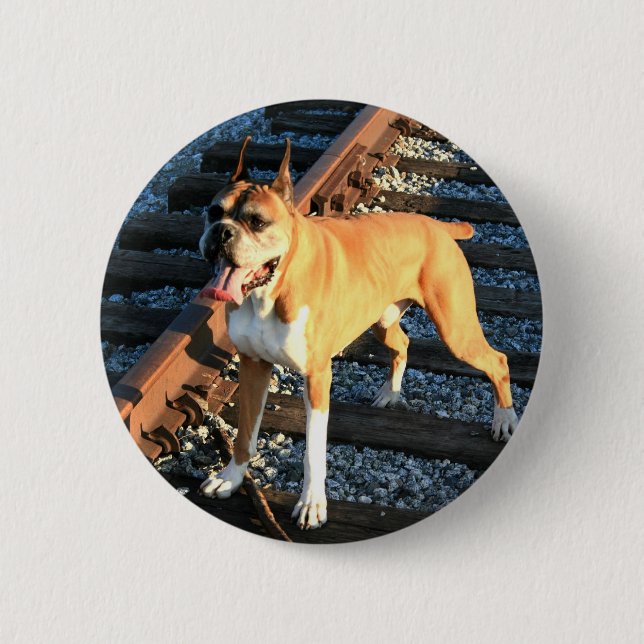 Boxer dog on Railroad Track Button (Front)