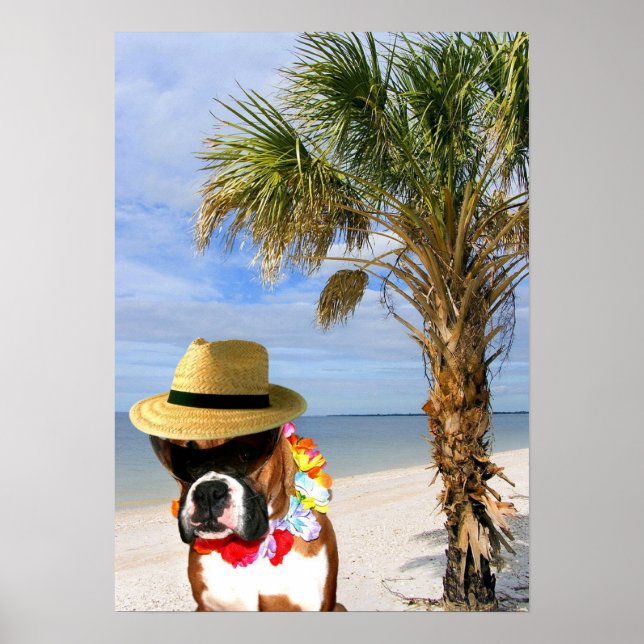 Boxer dog on the beach poster (Front)