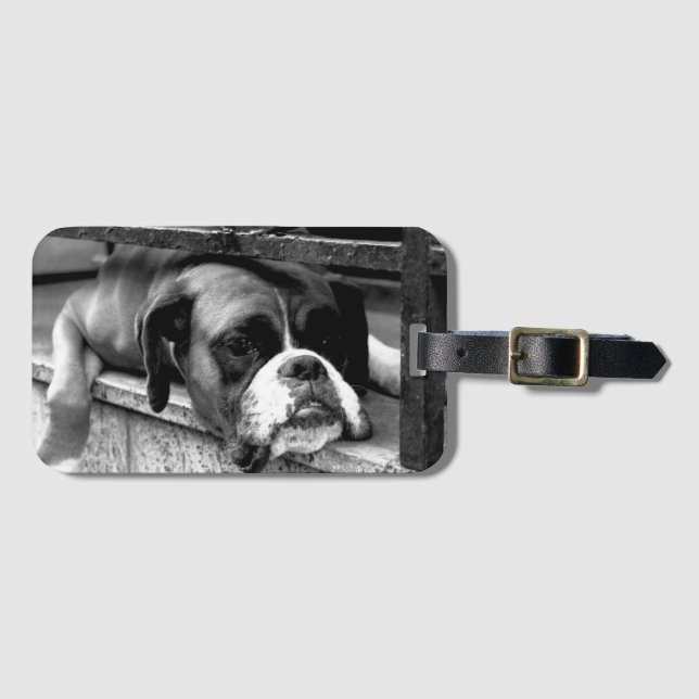 Boxer Dog On Windowsill bc ltcnm Luggage Tag (Front Horizontal)