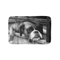 Boxer Dog On Windowsill bmcna