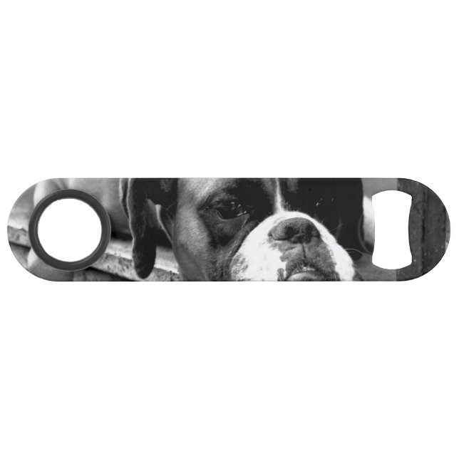 Boxer Dog On Windowsill bocna (Front (Horizontal))