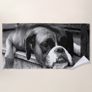 Boxer Dog On Windowsill btcnm Beach Towel