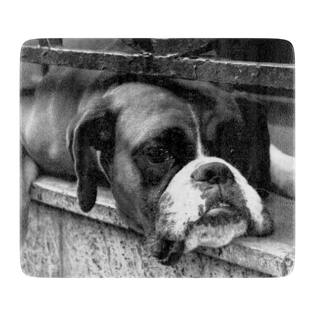Boxer Dog On Windowsill cbcnm Cutting Board (Front)