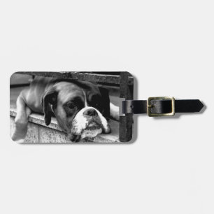 Boxer Dog On Windowsill cd ltcnm Luggage Tag
