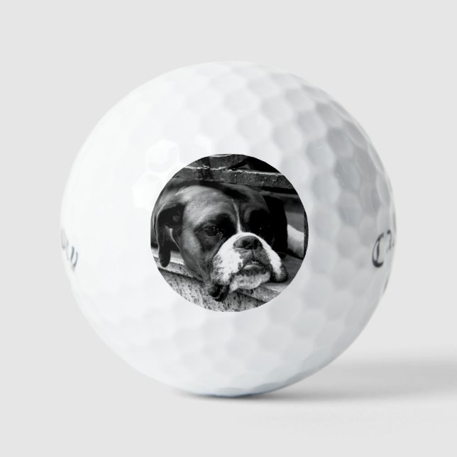 Boxer Dog On Windowsill css gbcna Golf Balls (Front)