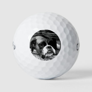 Boxer Dog On Windowsill cwb gbcna Golf Balls