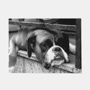Boxer Dog On Windowsill dm arc Doormat