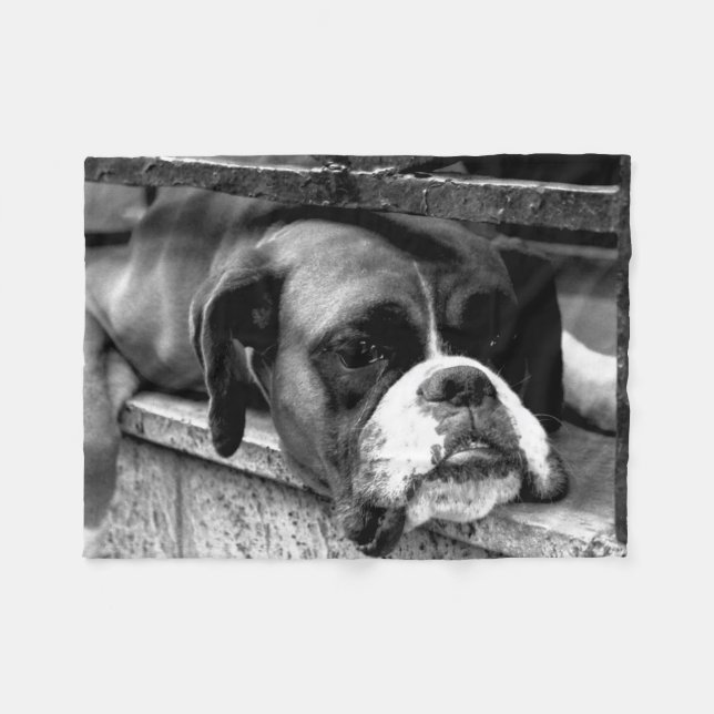 Boxer Dog On Windowsill fbcna Fleece Blanket (Front (Horizontal))