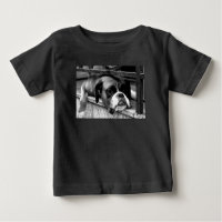 Boxer Dog On Windowsill iccnm