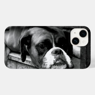 Boxer Dog On Windowsill iphcna Case-Mate iPhone 14 Case