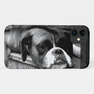 Boxer Dog On Windowsill iphcna iPhone 11 Case