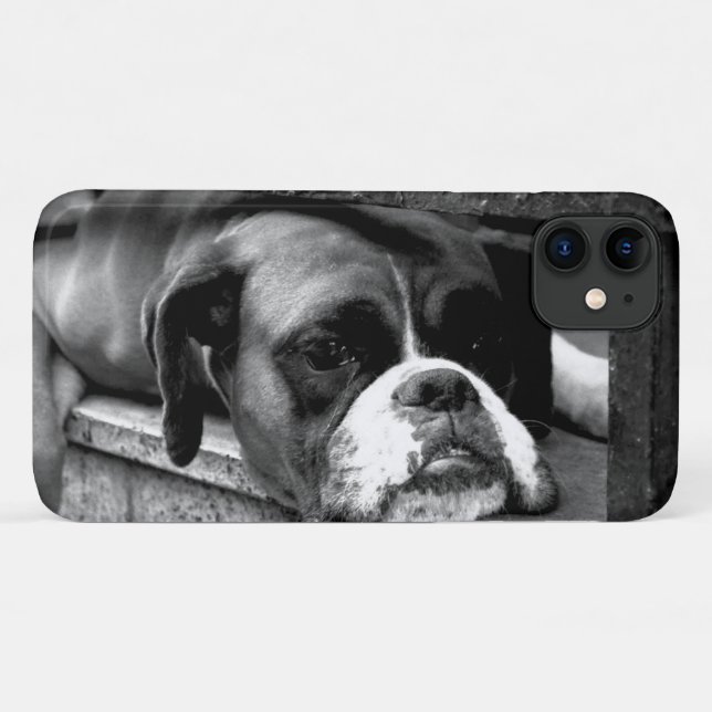 Boxer Dog On Windowsill iphcnm Case-Mate iPhone Case (Back (Horizontal))