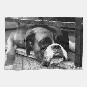 Boxer Dog On Windowsill ktm Tea Towel