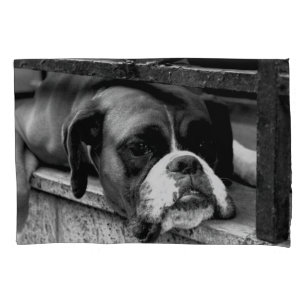 Boxer Dog On Windowsill pccna Pillowcase