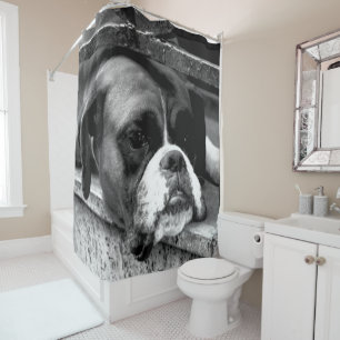 Boxer Dog On Windowsill sccna Shower Curtain