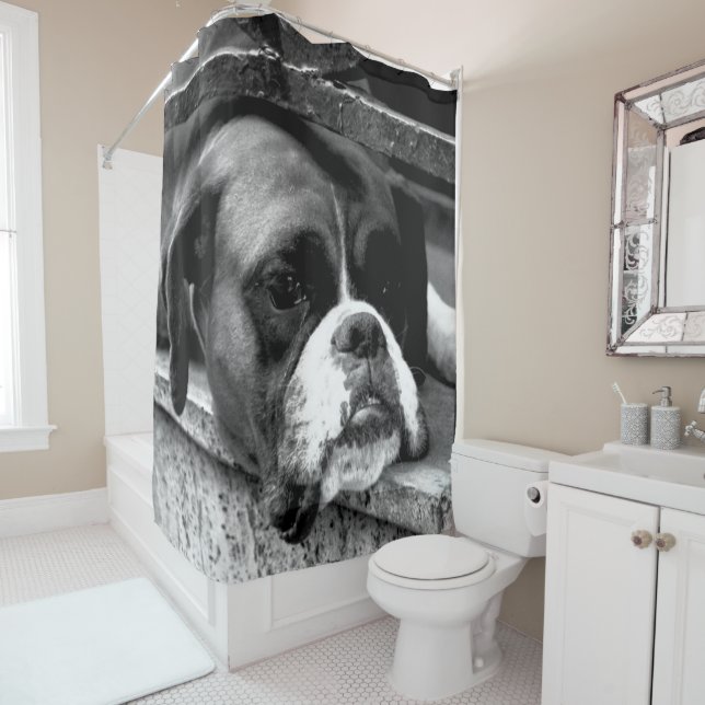 Boxer Dog On Windowsill scm Shower Curtain (In Situ)