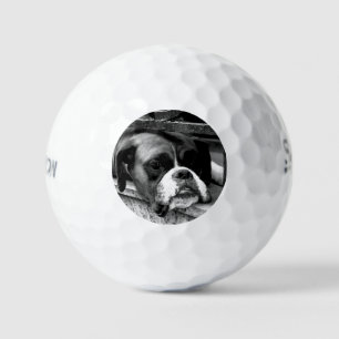 Boxer Dog On Windowsill ssf gbcnm Golf Balls