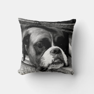 Boxer Dog On Windowsill tpcna Cushion