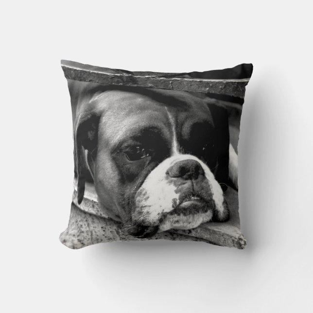 Boxer Dog On Windowsill tpcnm Cushion (Front)