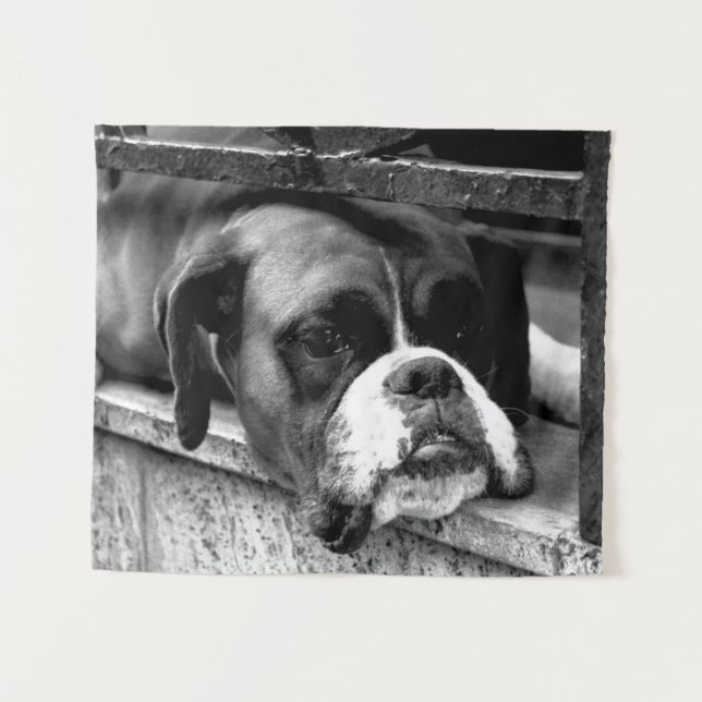 Boxer Dog On Windowsill wtcna Tapestry (Front (Horizontal))
