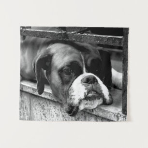 Boxer Dog On Windowsill wtcnm Tapestry