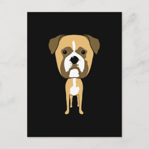 Boxer Dog. Oversized head. Postcard