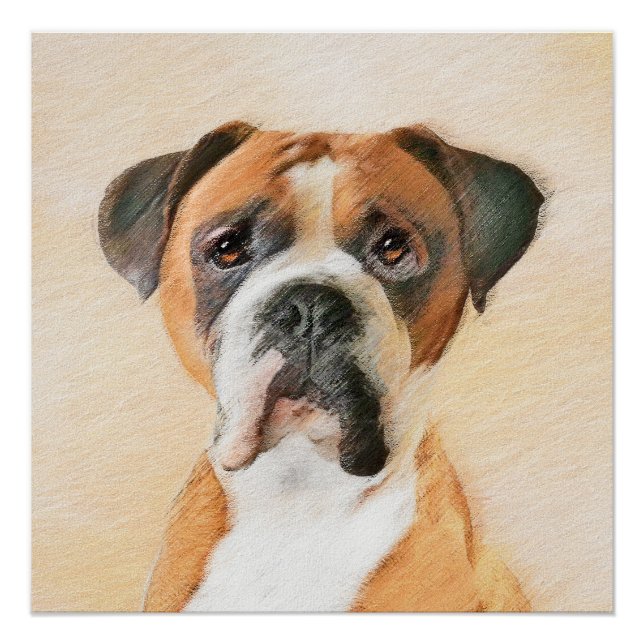 Boxer Dog Painting Uncropped Original Animal Art Poster (Front)