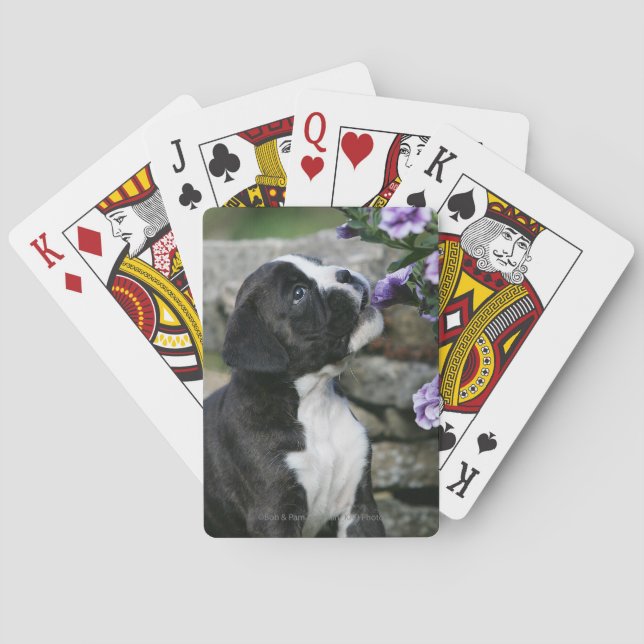 Boxer Dog Panting Playing Cards (Back)