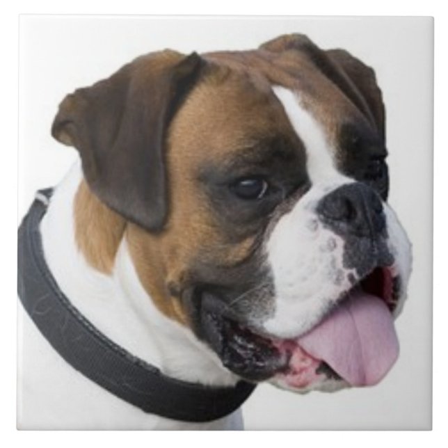 BOXER DOG, Pet Love, Best Friend KEEPSAKE Ceramic Tile (Front)