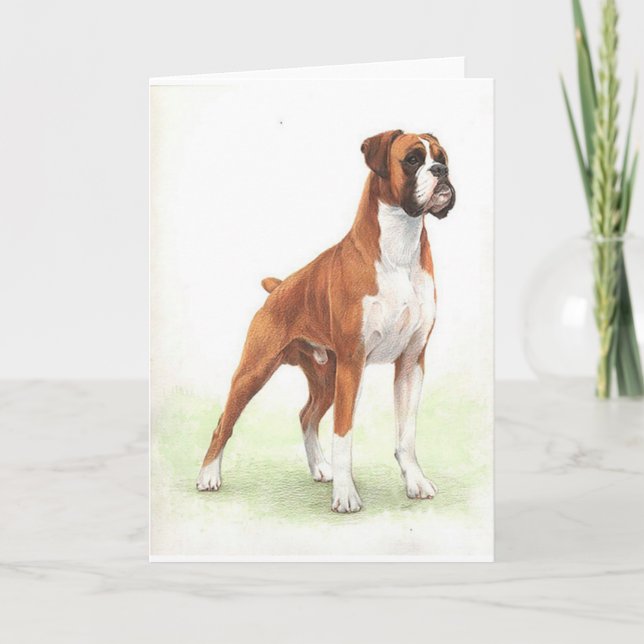 Boxer Dog Portrait Blank Greeting Card (Front)