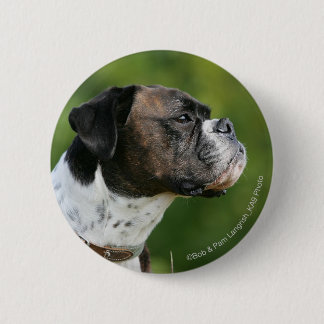 Boxer Dog Profile 6 Cm Round Badge