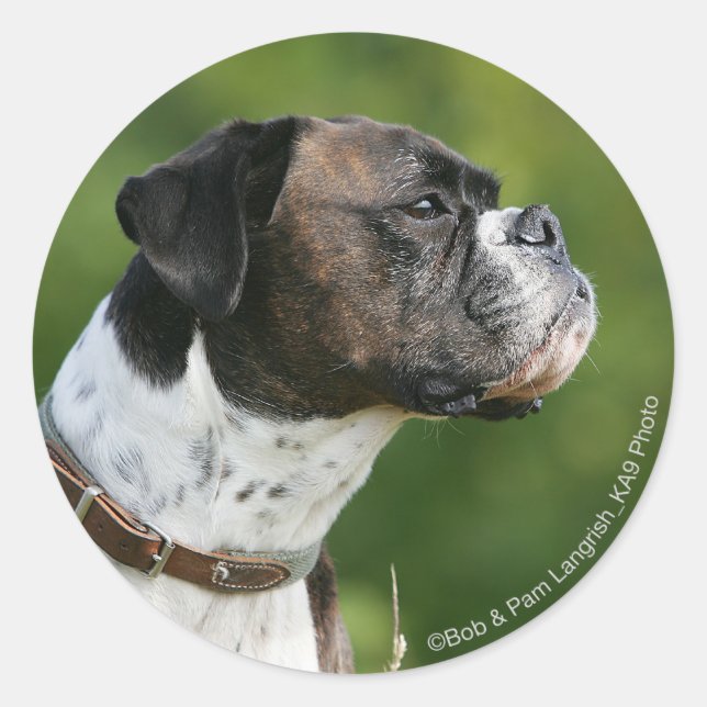 Boxer Dog Profile Classic Round Sticker (Front)