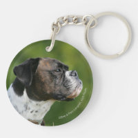 Boxer Dog Profile