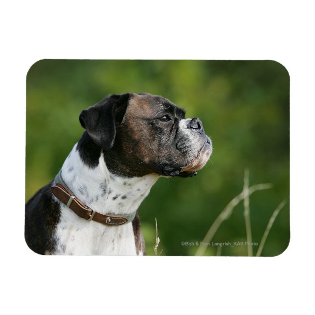 Boxer Dog Profile Magnet (Horizontal)