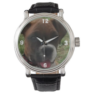 BOXER DOG PUPPY watch