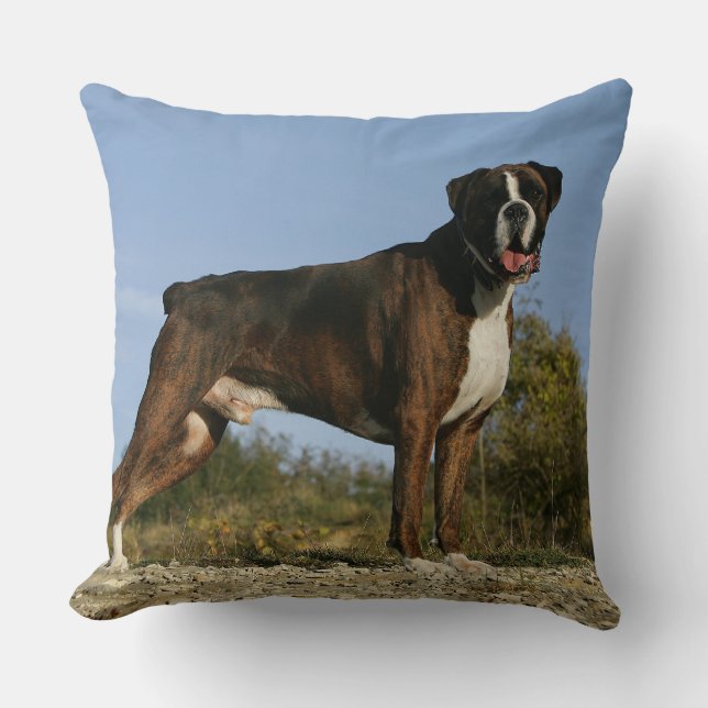 Boxer Dog Show Stance Cushion (Front)