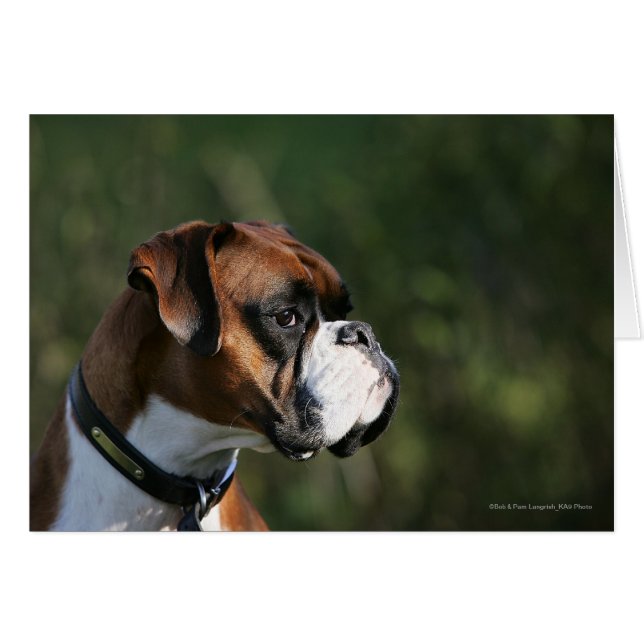 Boxer Dog Side Profile (Front Horizontal)