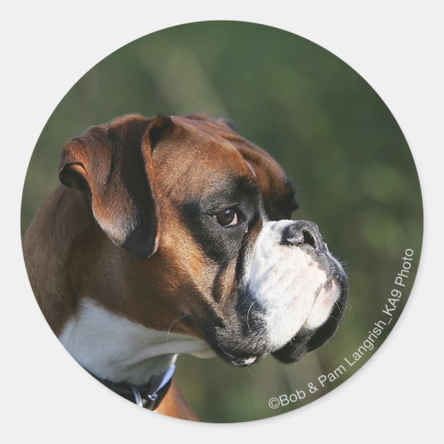 Boxer Dog Side Profile Classic Round Sticker (Front)