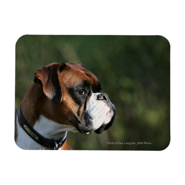 Boxer Dog Side Profile Magnet (Horizontal)