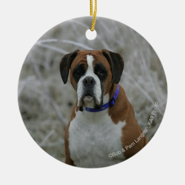 Boxer Dog Sitting in the Frost Ceramic Ornament (Front)