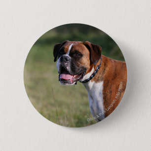 Boxer Dog Standing 6 Cm Round Badge