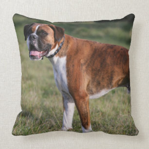 Boxer Dog Standing Cushion