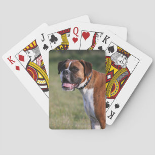 Boxer Dog Standing Playing Cards