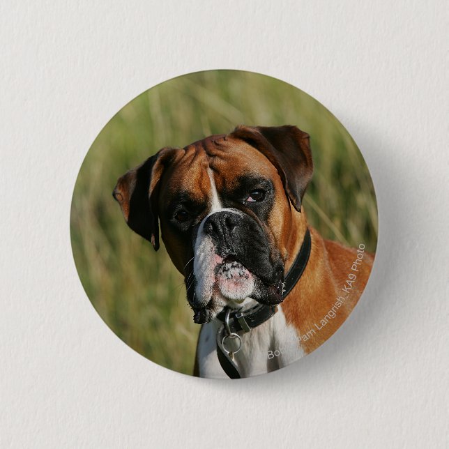 Boxer Dog Staring at Camera 6 Cm Round Badge (Front)